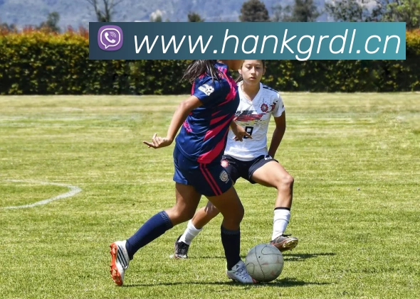 星空体育全站官网APP 体育赛事宣传图